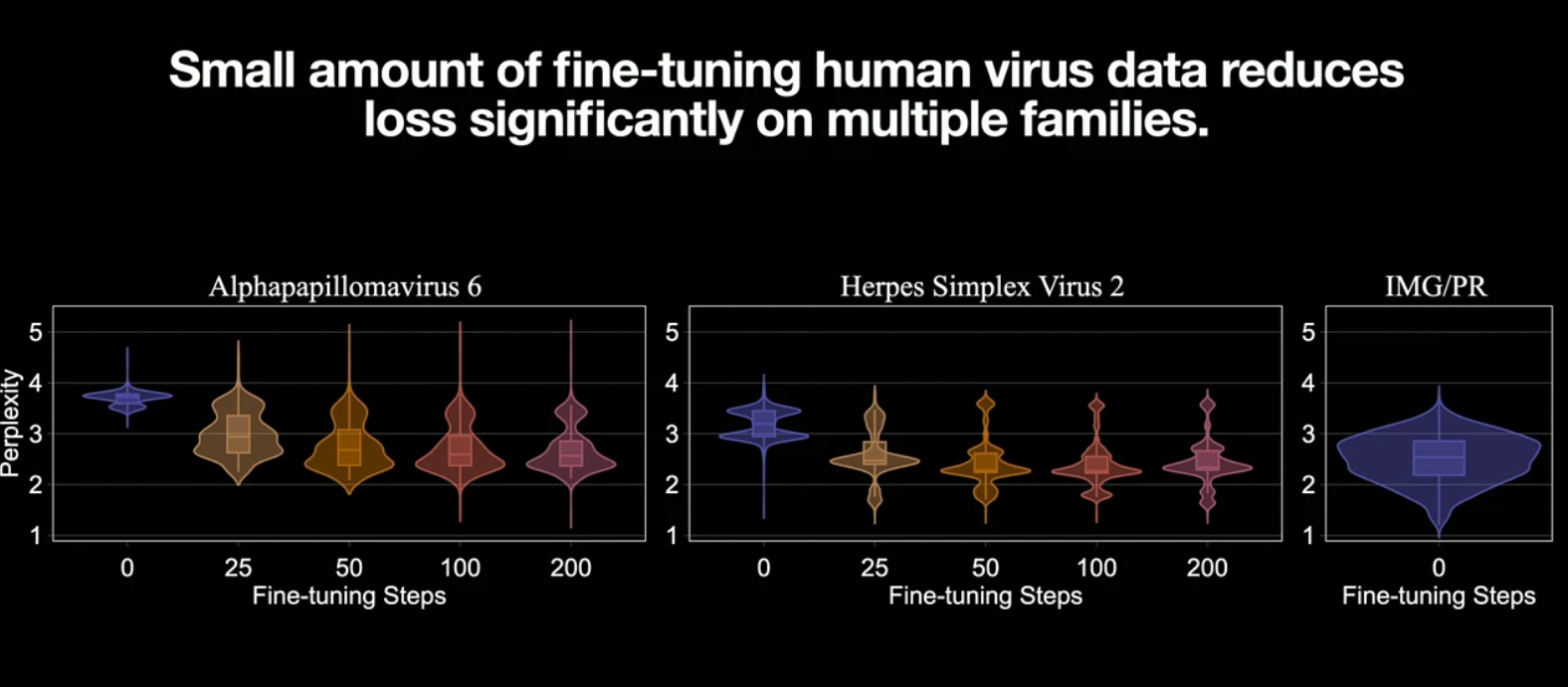 Bubble of Risk Diagram